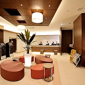 book here